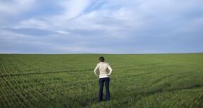 Exploitants agricoles : bénéfice d’une pension d’orphelin