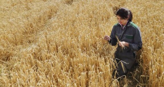 La transmission des exploitations agricoles est encouragée