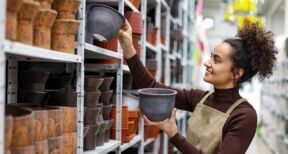 Nouvelle contraction de l’activité des distributeurs d’articles de jardin en 2024