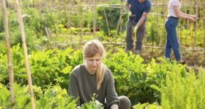 Insertion : territoires zéro chômeur de longue durée