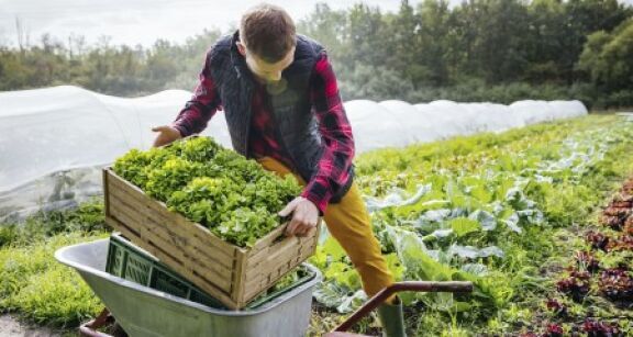Prorogation de deux crédits d’impôt spécifiques aux exploitants agricoles