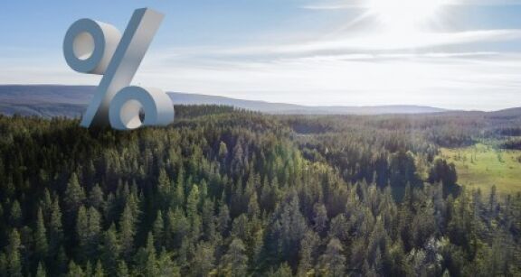 Groupements forestiers : un nouvel indice pour mesurer leurs performances