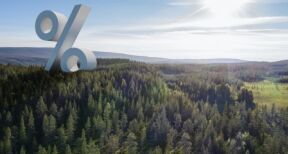 Groupements forestiers : un nouvel indice pour mesurer leurs performances