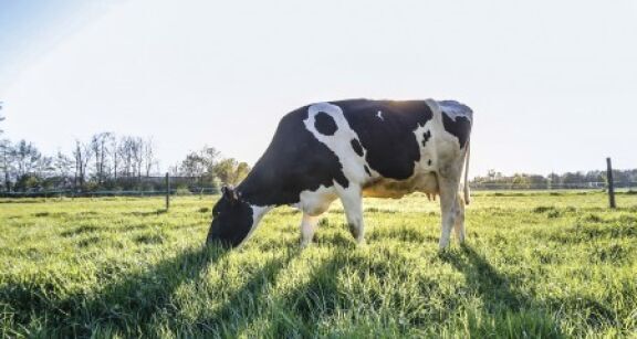 Loi d’orientation agricole : les principales mesures