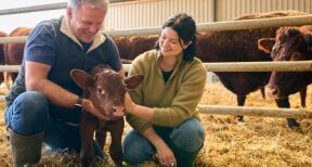 Renforcement de l’exonération partielle des transmissions de biens ruraux