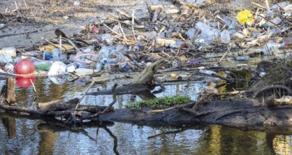 Environnement : appel dans le cadre d’un référé pénal