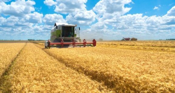 Exploitants agricoles : le calendrier de versement des aides Pac 2025