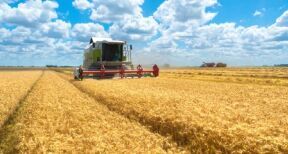 Exploitants agricoles : le calendrier de versement des aides Pac 2025