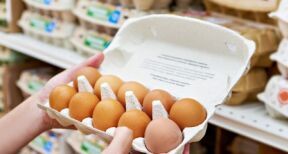 Les ventes d’œufs poursuivent leur croissance