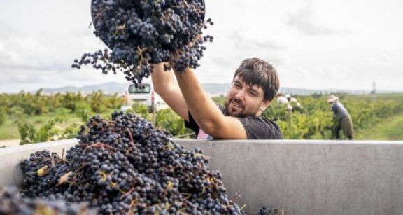 Travail saisonnier : les règles du jeu