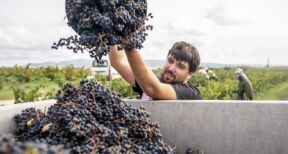 Travail saisonnier : les règles du jeu