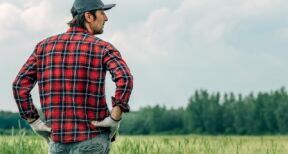 Exploitants agricoles : le dispositif des prêts de consolidation est opérationnel