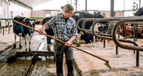 Option des exploitants agricoles pour une assiette annuelle de leurs cotisations sociales