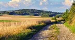Les prix des terres agricoles ont encore augmenté en 2024 !