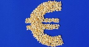 Agriculture : augmentation de plusieurs aides de la Pac au titre de 2024