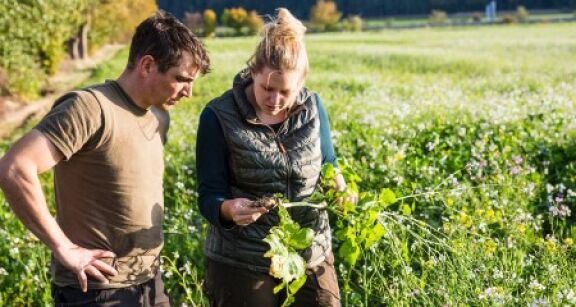 Décès d’un exploitant agricole : à qui est attribué le bail rural ?