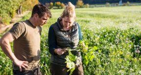 Décès d’un exploitant agricole : à qui est attribué le bail rural ?