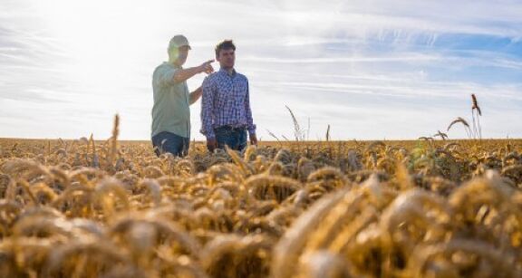 À quel moment peut-on insérer une clause de reprise sexennale dans un bail rural ?