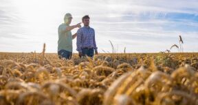 À quel moment peut-on insérer une clause de reprise sexennale dans un bail rural ?