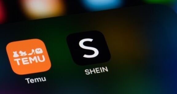 Temu et Shein sont les enseignes les plus dynamiques de France