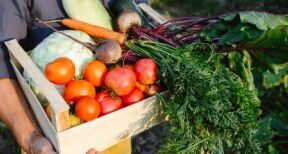 Exercice d’une activité commerciale accessoire par une société agricole : du nouveau !