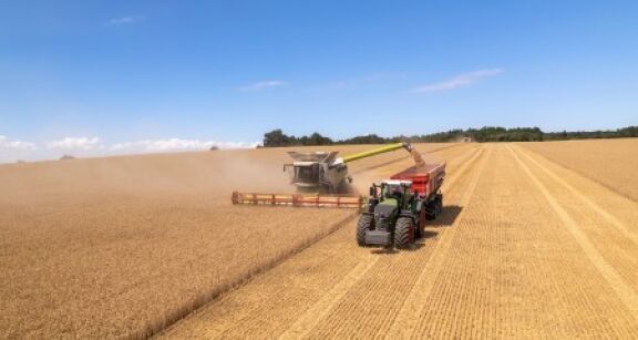 La production agricole a reculé de 8,8 % en 2024