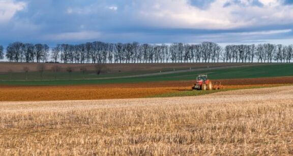 Baux ruraux : légère hausse du montant des fermages