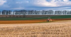 Baux ruraux : légère hausse du montant des fermages