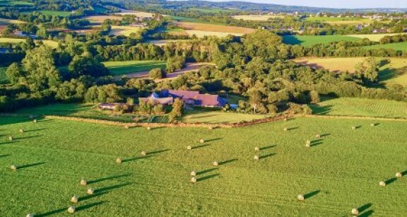 Le prix des terres agricoles et viticoles en 2024