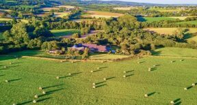 Le prix des terres agricoles et viticoles en 2024