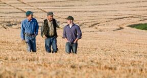 Reprise de terres agricoles données à bail par une société familiale