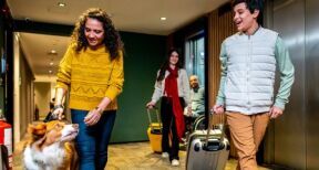 34 % des voyageurs français privilégient les vacances « pet-friendly »