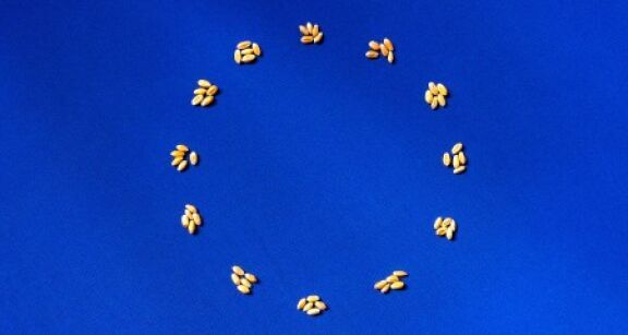 Exploitants agricoles : fixation des montants 2025 de certaines aides Pac