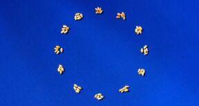 Exploitants agricoles : fixation des montants 2025 de certaines aides Pac