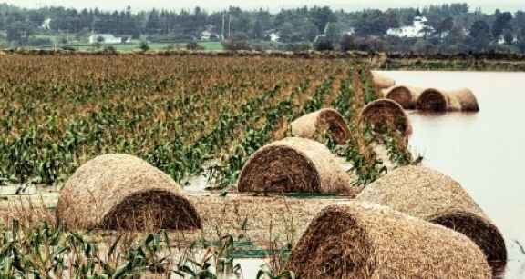 Déduction pour épargne de précaution : quelles conditions pour l’exonération fiscale ?