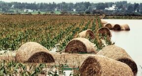 Déduction pour épargne de précaution : quelles conditions pour l’exonération fiscale ?