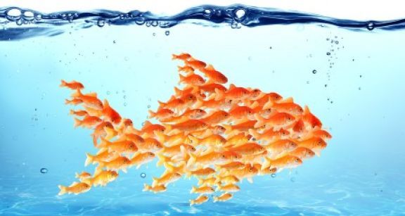 Les associations et l’action de groupe