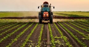 Environnement : responsabilité de l’État pour préjudice écologique