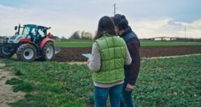 Rétrocession de parcelles agricoles par la Safer : gare à la date de dépôt des candidatures !