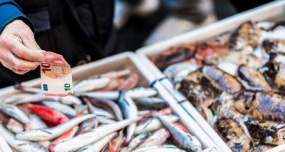 Les ventes de poissons sont en recul