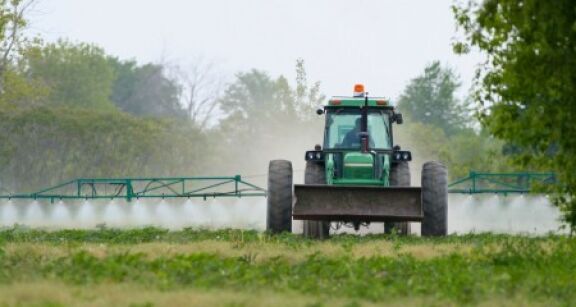 Environnement : délai de prescription de l’action pour préjudice écologique
