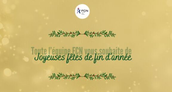 Joyeuses f&ecirc;tes de fin d'ann&eacute;e !