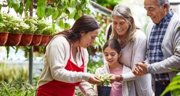 Marché du jardin : baisse de 2 % en 2025 et mutation des comportements d’achat