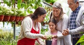 Marché du jardin : baisse de 2 % en 2025 et mutation des comportements d’achat