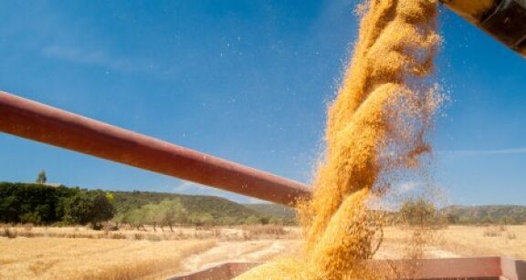 2025 a été marquée par une hausse de 3,7 % de la production agricole