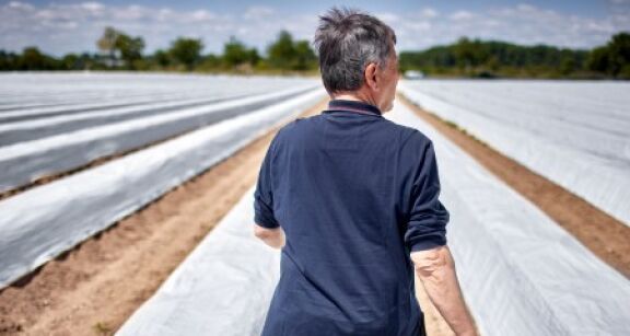 Non-salariés agricoles : vers une meilleure pension de retraite de base ?