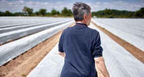 Non-salariés agricoles : vers une meilleure pension de retraite de base ?