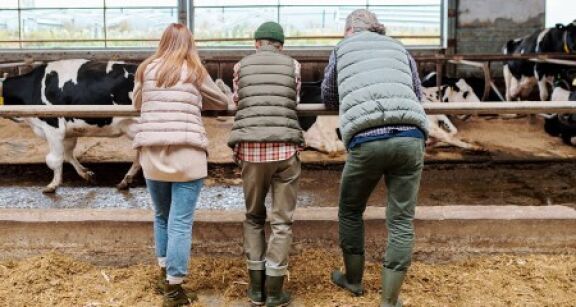 Décès d’un non-salarié agricole : capital décès pour ses ayants droit