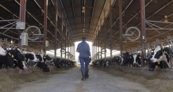 L’indemnisation de l’exploitant agricole pour des travaux de mise aux normes