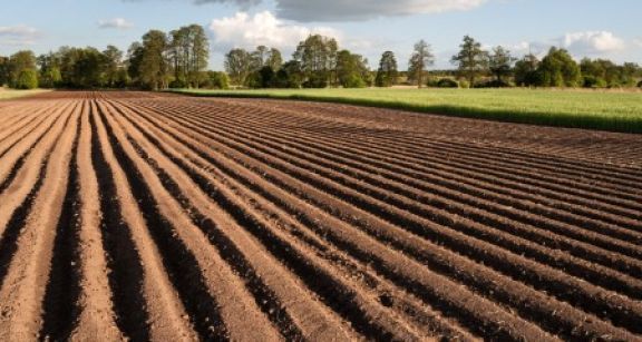 Vente de la nue-propriété et de l’usufruit d’un bien agricole